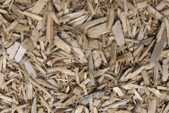 biomass boilers Tansor